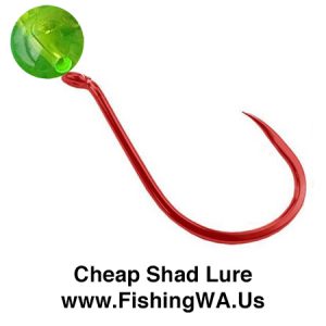 Cheap Shad Fishing Lure